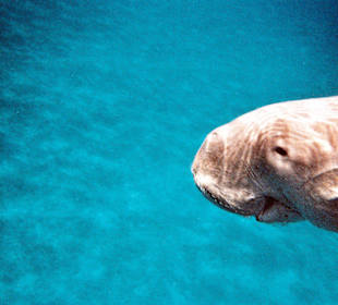 Bin ich nicht schön