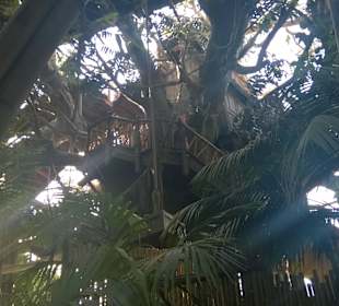 Disneyland - Anaheim, California, United States.