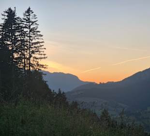 Ausblick