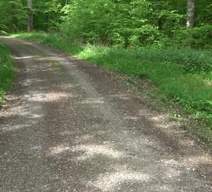 Wandertour Feuchtgebiet Schönbuch
