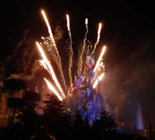 Abendshow am Schloss