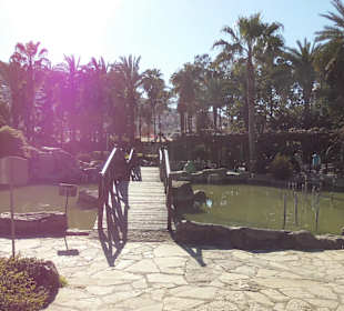 Eine Augenweide wie angelegt