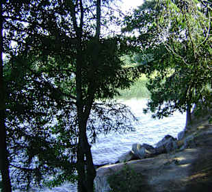 Park Monrepos