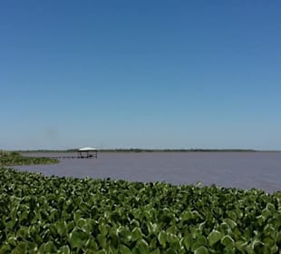 Laguna Blanca