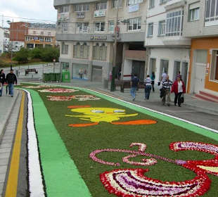 Alfombras florales Burela