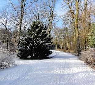 Winterspaziergang durch den Bürgerpark