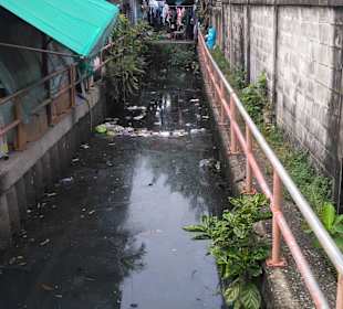 Mit Green Mango das ursprüngliche BKK entdecken