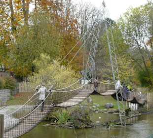 Seilbrücke