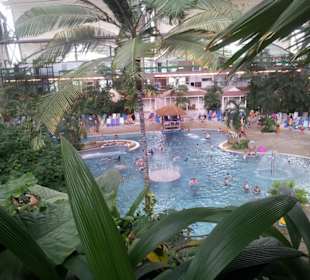 View of Lagoon from rainforest walk