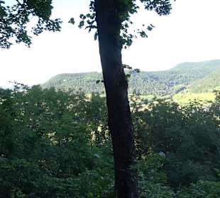 Burgruine Andeck Talheim