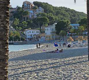 Strand Paguera/Peguera 
