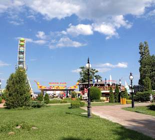 Überall Grün dazwischen