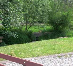 Wanderung Klosterquelle Klosterreichenbach