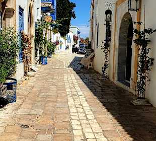 Ausflug nach Karthago und Sidi Bou Said