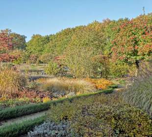 Herbststimmung im Dorfgarten Dötlingen