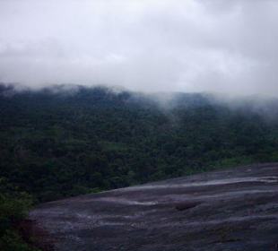 Fog in the rain forrest at Rio Caura