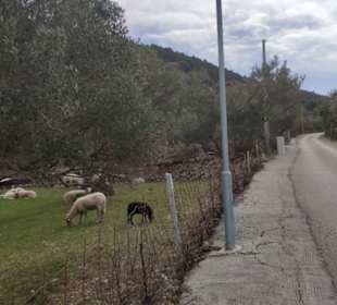 Straße auf den Berg 