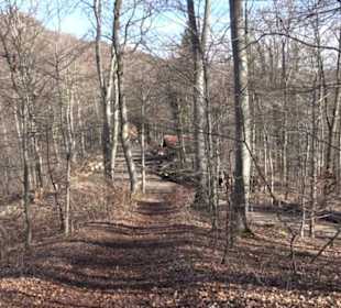Wandertour Eppenzill