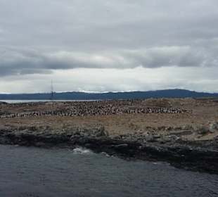 Bootsfahrt Beaglekanal