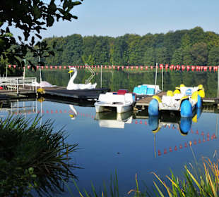 Der Außenmühlenteich im Harburger Stadtpark