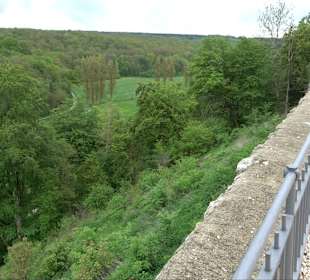 Ruine Burg Kaltenburg