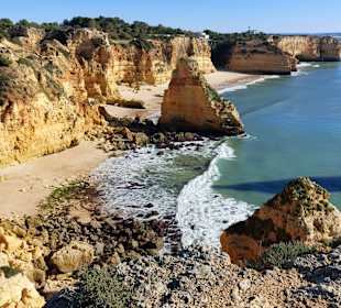 Seven Hanging Valleys Trail 