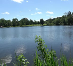 Freibad Stadtweiher