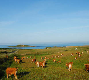 Ilha Pessegueiro - Sw Alentejo Tour