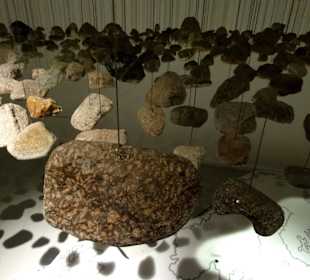 Aspekte der Geest in Nordwestdeutschland