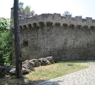 Zamek Liechtenstein-Maria Enzersdorf,Austria