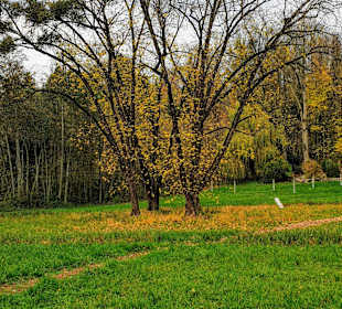 Kurpark