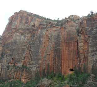 Zion NP