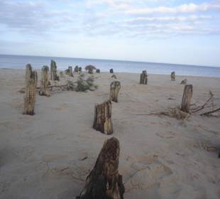 Plaża