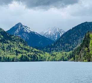 Alpsee