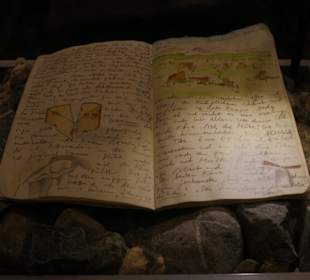 Tagebuch eines Weltenbummlers