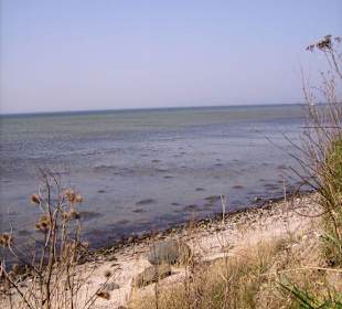 Naturschutzgebiet Geltinger Birk