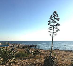Strand Santa Maria al Bagno