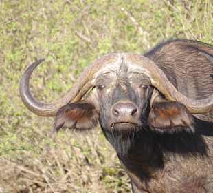 Wer stört da, wehe du kommst näher