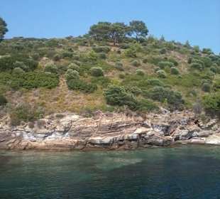 Bootsausflug "Blaue Reise"