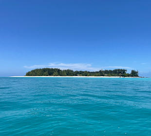 Mnemba Island