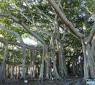 Schön angelegt und informativ