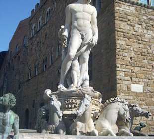 Fontana del nettuno