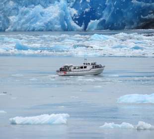 MS Zaandam liegt vor dem Gletscher