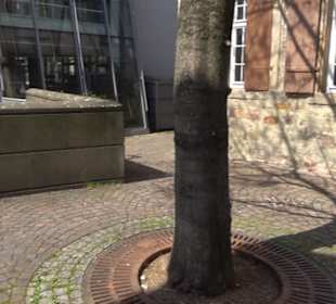 Stadtbücherei