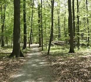 Wanderweg Hochgehwachsen