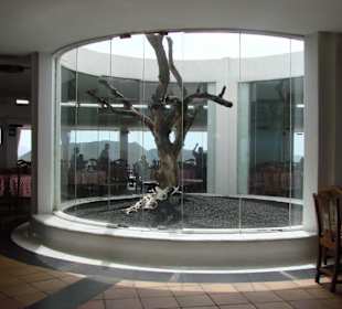 Timanfaya Nationalpark 4