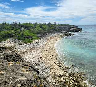 Rundfahrt Insel Bonaire
