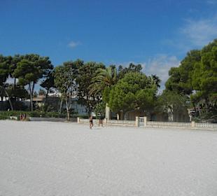 Strand Alcudia