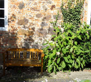 Impressionen aus dem Bibelgarten