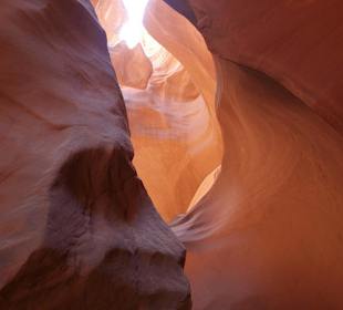 Wechselspiel von Licht und Schatten